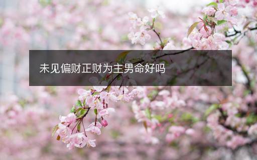 未見偏財正財為主男命好嗎