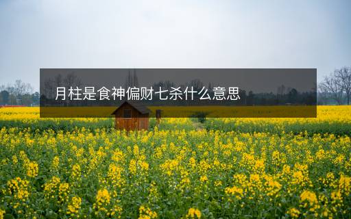 月柱是食神偏財七殺什么意思