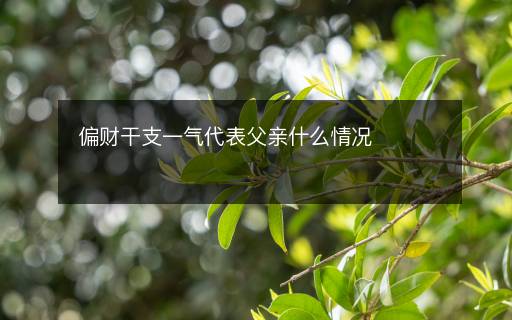 偏財干支一氣代表父親什么情況