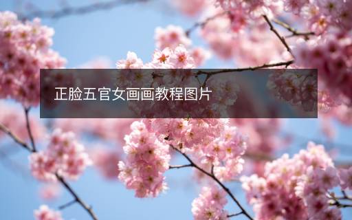 正臉五官女畫畫教程圖片