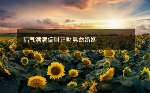 福氣滿滿偏財正財男命婚姻