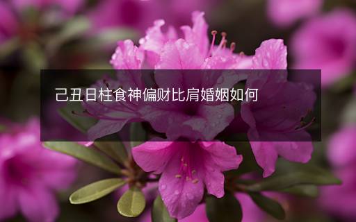 己丑日柱食神偏財(cái)比肩婚姻如何