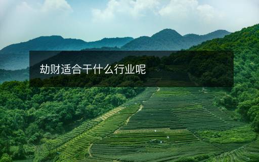 劫財適合干什么行業(yè)呢