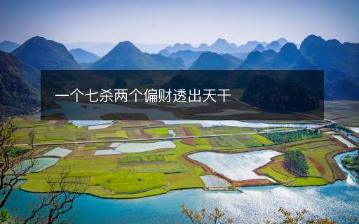 一個七殺兩個偏財透出天干