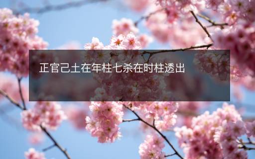 正官己土在年柱七殺在時(shí)柱透出