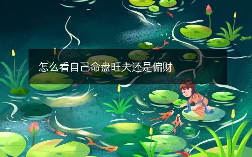 怎么看自己命盤(pán)旺夫還是偏財(cái)