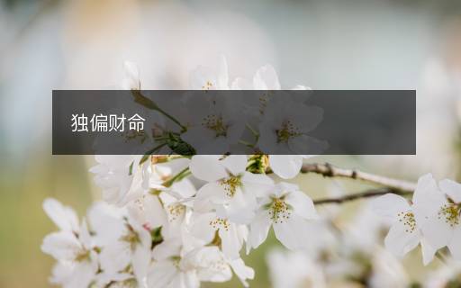 獨偏財命