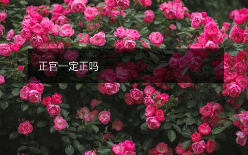 正官一定正嗎