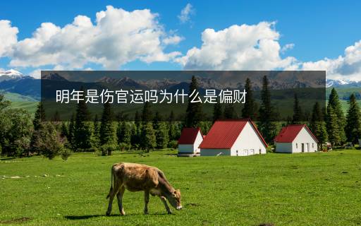 明年是傷官運(yùn)嗎為什么是偏財(cái)