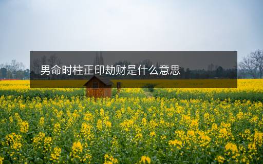 男命時柱正印劫財是什么意思