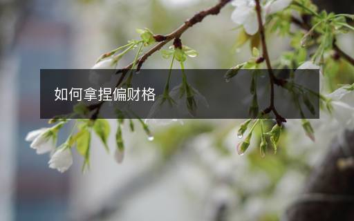 如何拿捏偏財(cái)格