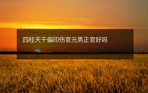 四柱天干偏印傷官元男正官好嗎