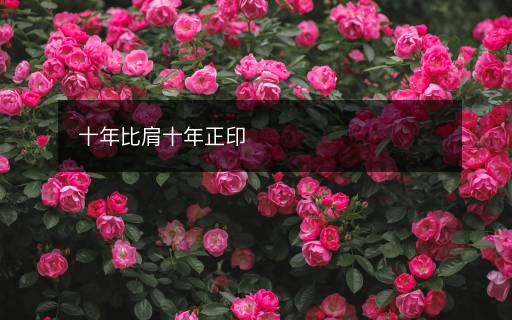十年比肩十年正印