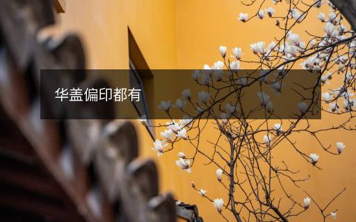 華蓋偏印都有