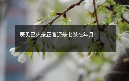 庚見巳火是正官還是七殺在年月