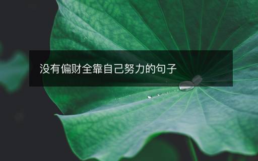沒有偏財全靠自己努力的句子
