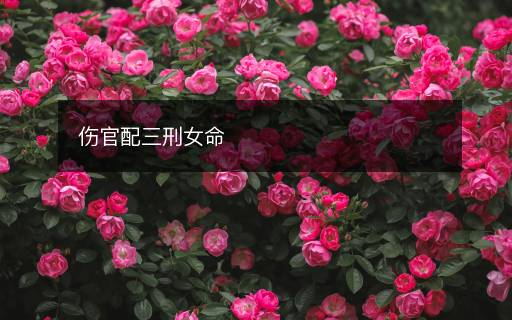 傷官配三刑女命