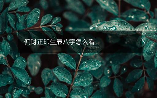偏財(cái)正印生辰八字怎么看