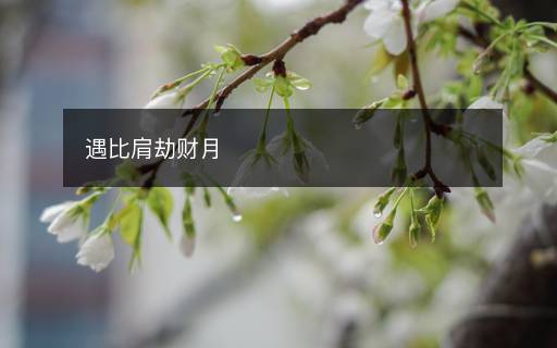 遇比肩劫財(cái)月