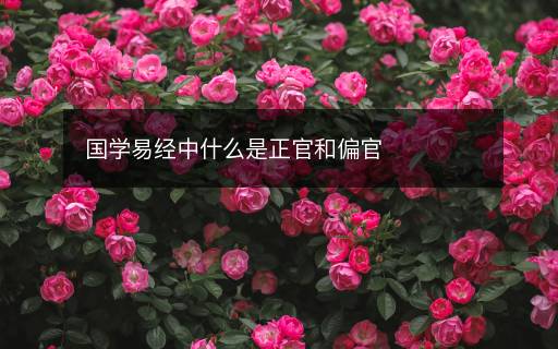 國學易經(jīng)中什么是正官和偏官