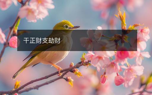 干正財(cái)支劫財(cái)