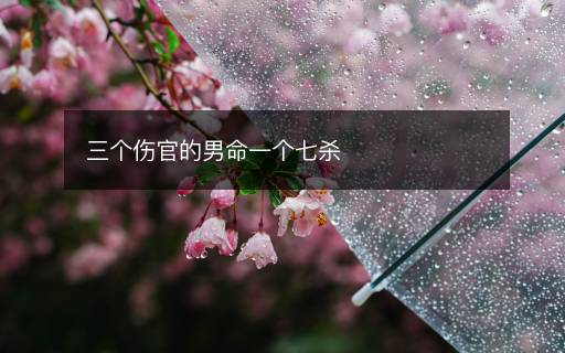 三個傷官的男命一個七殺