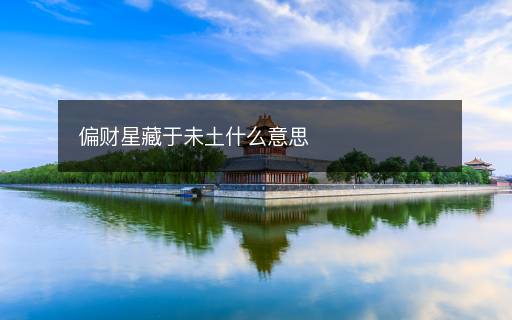 偏財星藏于未土什么意思