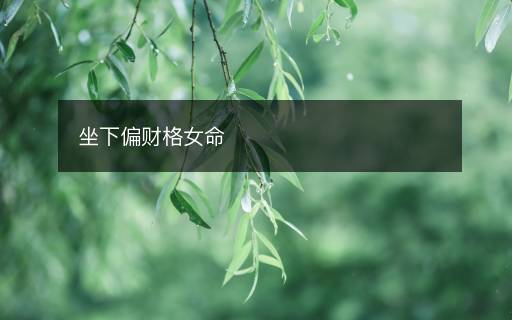 坐下偏財格女命