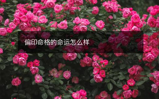 偏印命格的命運怎么樣