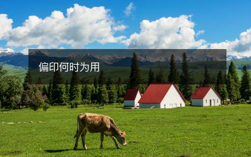 偏印何時為用