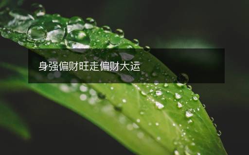 身強(qiáng)偏財(cái)旺走偏財(cái)大運(yùn)