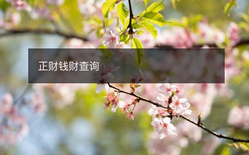 正財錢財查詢