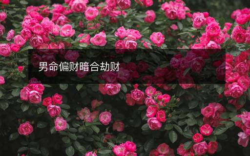 男命偏財暗合劫財