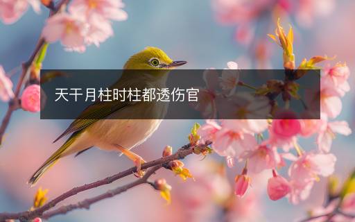 天干月柱時柱都透傷官
