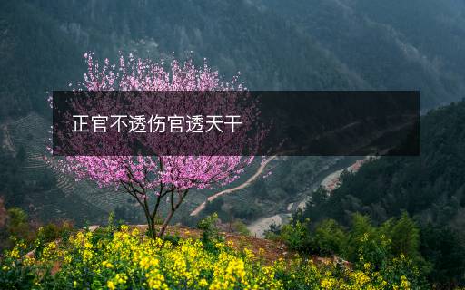 正官不透傷官透天干