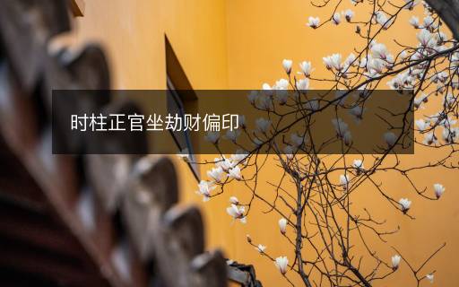 時(shí)柱正官坐劫財(cái)偏印
