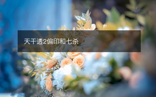 天干透2偏印和七殺