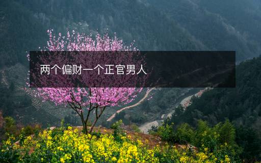 兩個偏財一個正官男人
