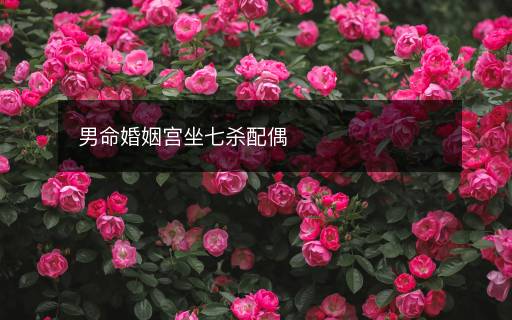 男命婚姻宮坐七殺配偶