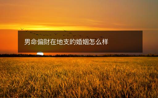 男命偏財(cái)在地支的婚姻怎么樣