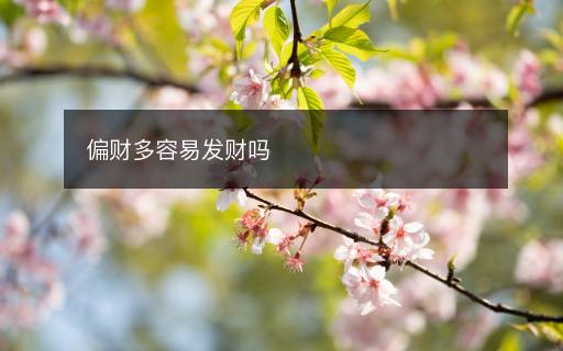 偏財(cái)多容易發(fā)財(cái)嗎