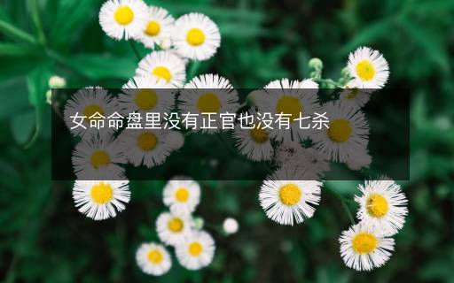 女命命盤里沒(méi)有正官也沒(méi)有七殺