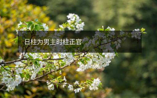 日柱為男主時(shí)柱正官