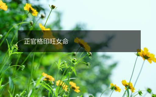 正官格印旺女命