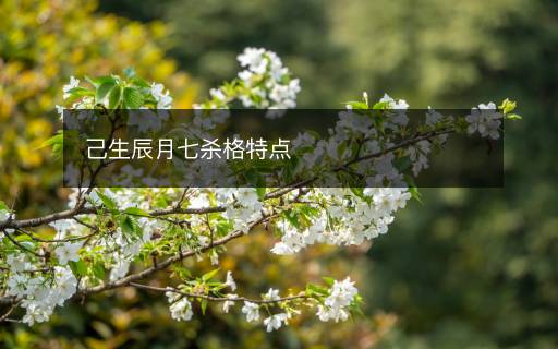 己生辰月七殺格特點