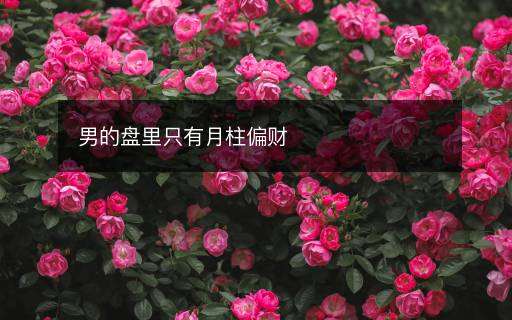 男的盤里只有月柱偏財(cái)