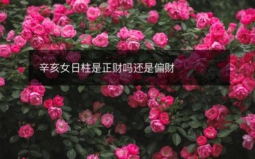 辛亥女日柱是正財嗎還是偏財