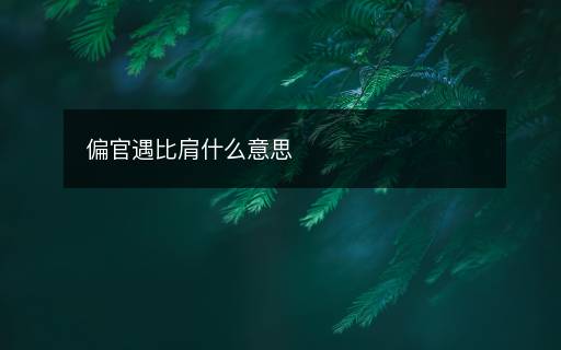 偏官遇比肩什么意思