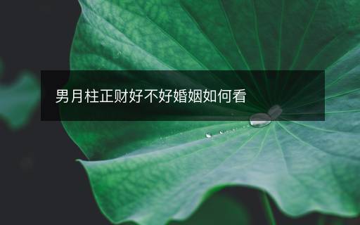 男月柱正財好不好婚姻如何看