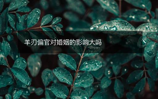 羊刃偏官對(duì)婚姻的影響大嗎